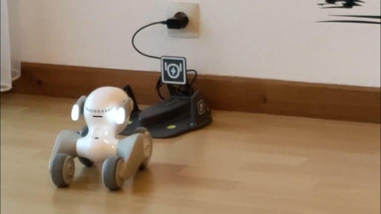 6 Best Practices for Charging Robot Pets