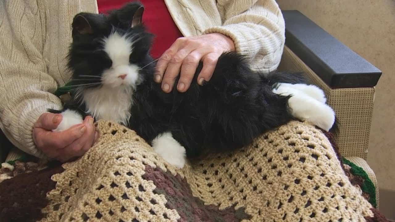 Cost-Benefit Analysis of Robot Pets in Long-Term Care Facilities