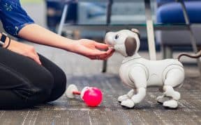 Cognitive Responses to Robot Pet Stimuli