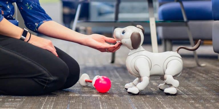 Cognitive Responses to Robot Pet Stimuli