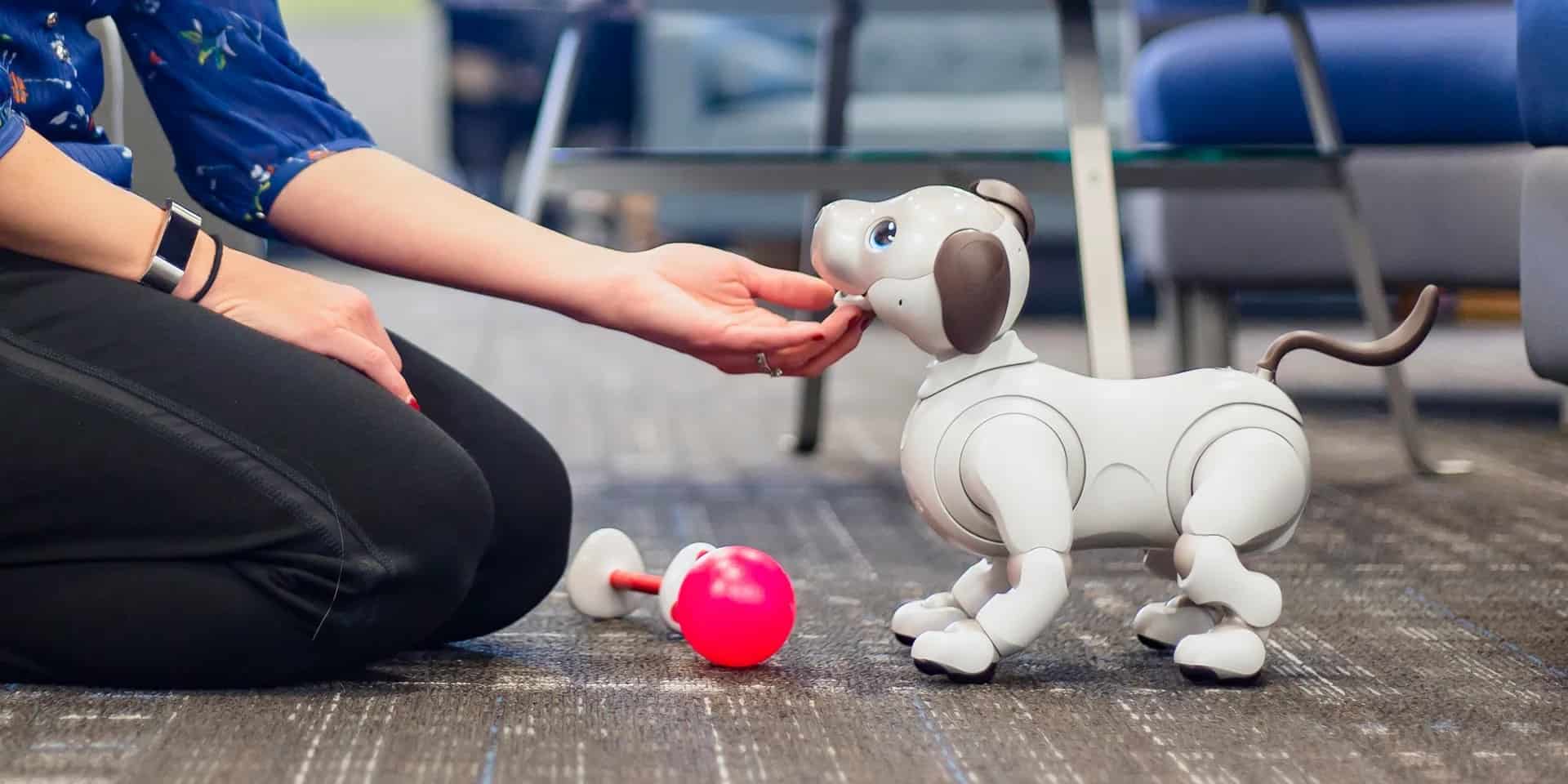 Cognitive Responses to Robot Pet Stimuli