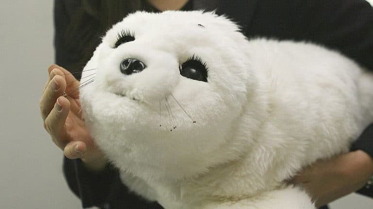 Animal Rights Perspectives on Robot Pet Adoption