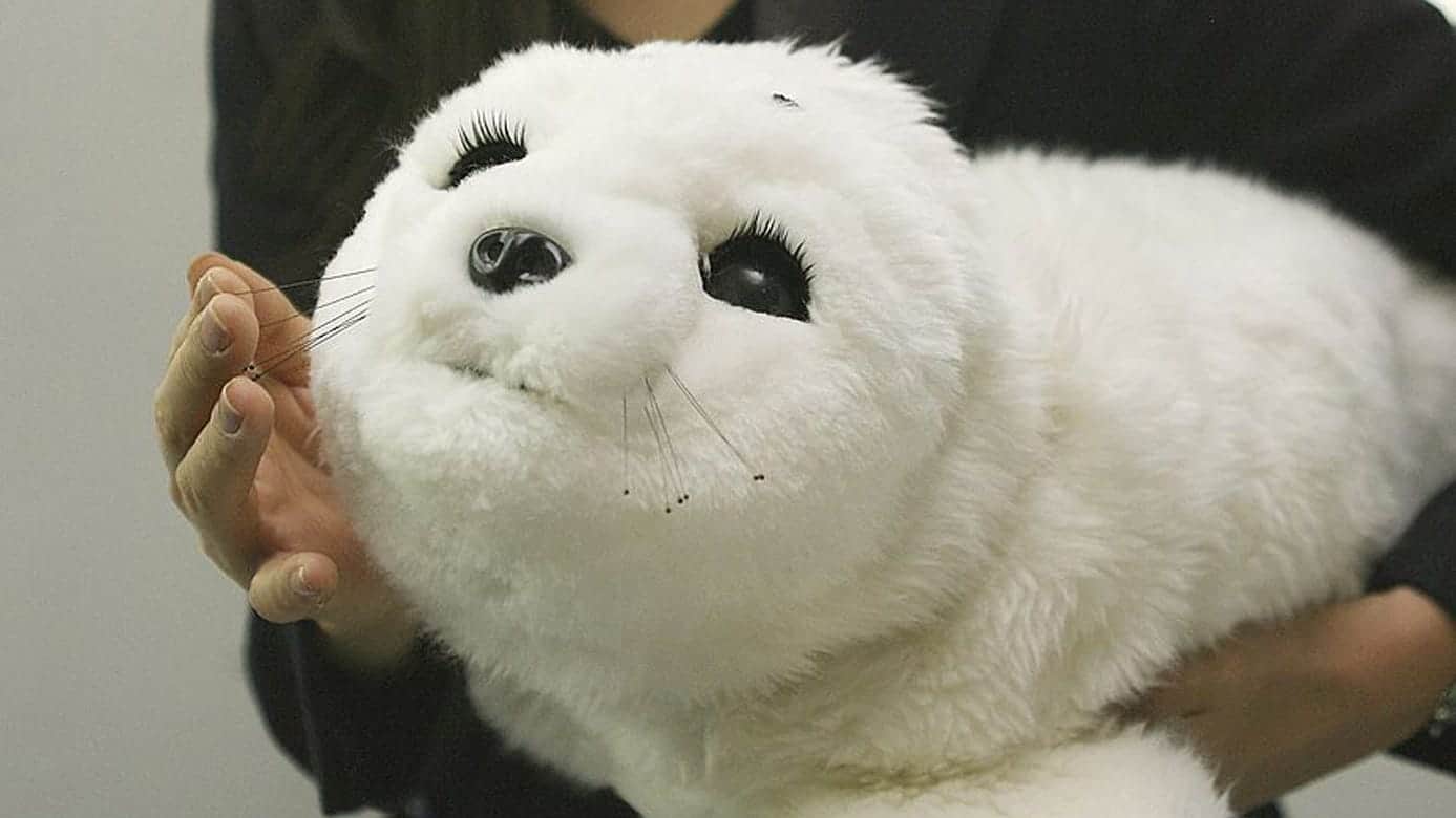 Animal Rights Perspectives on Robot Pet Adoption