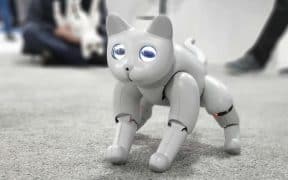 4 Economic Ramifications of Robot Pets on Animal Industries