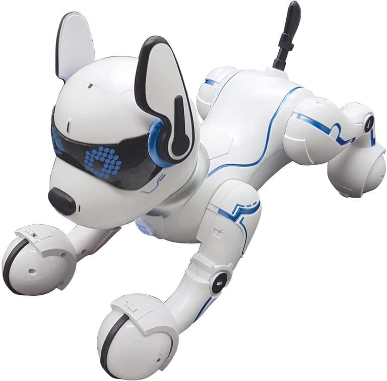 LEXiBOOK Power Puppy My Smart Robot Dog Review