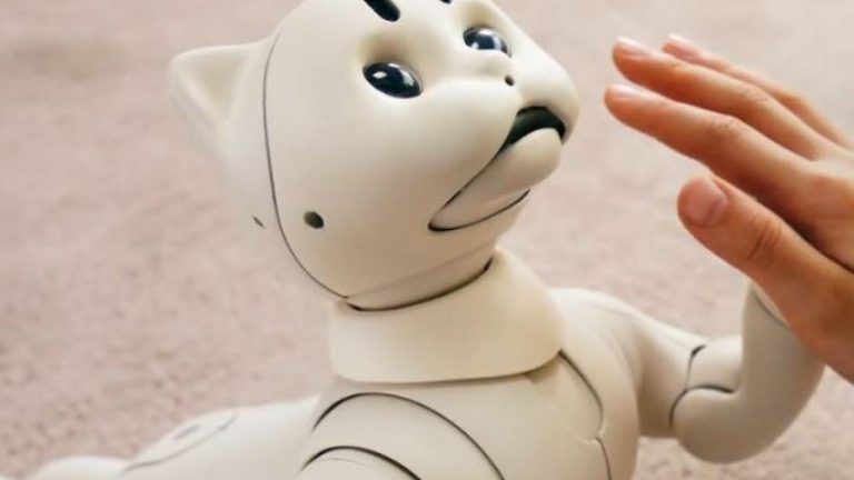 How Robot Pets Adapt Over Time with AI