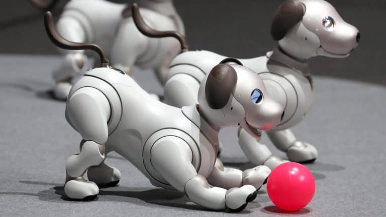 4 Ethical Considerations Surrounding the Lifecycle of Robot Pets