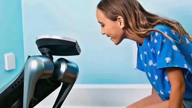 Limitations and Breakthroughs of AI in Robot Pets