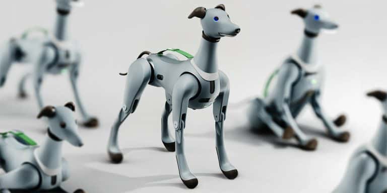 The Evolution of AI Algorithms in Robotic Animal Interactions