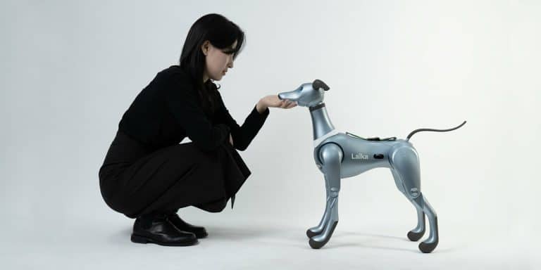 How AI Tailors Robot Pet Interactions to Individual Users
