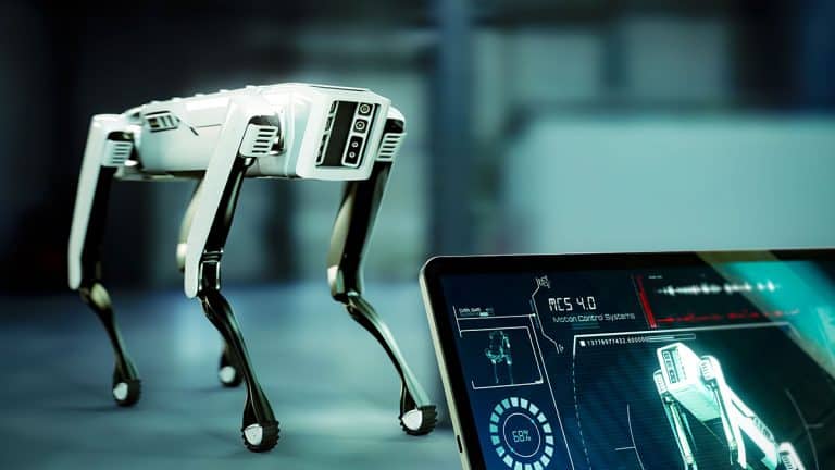 Do AI Robot Pets Protect User Privacy?