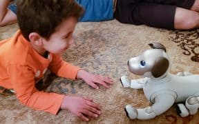 Children's Development: Ethical Outcomes of Robot Pets as First Companions