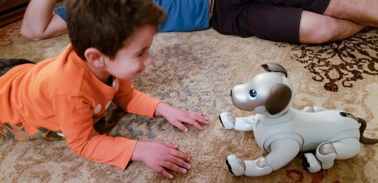 Children's Development: Ethical Outcomes of Robot Pets as First Companions