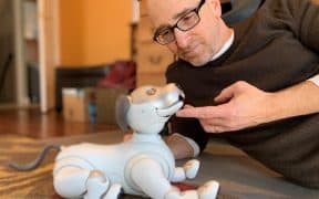 How Robot Pets Respond to Human Emotions