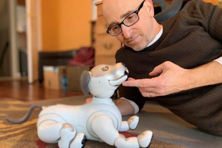 How Robot Pets Respond to Human Emotions