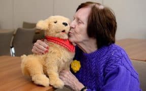 The Morality of Designing Robot Pets for Emotional Attachment