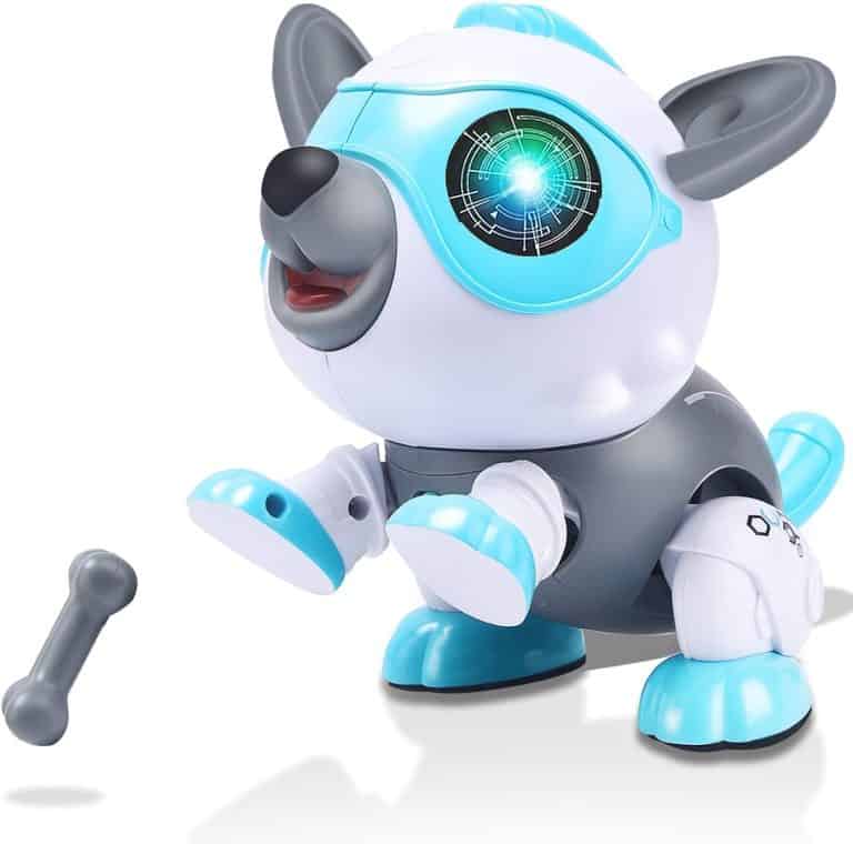 Grarg DIY Robot Dog Review