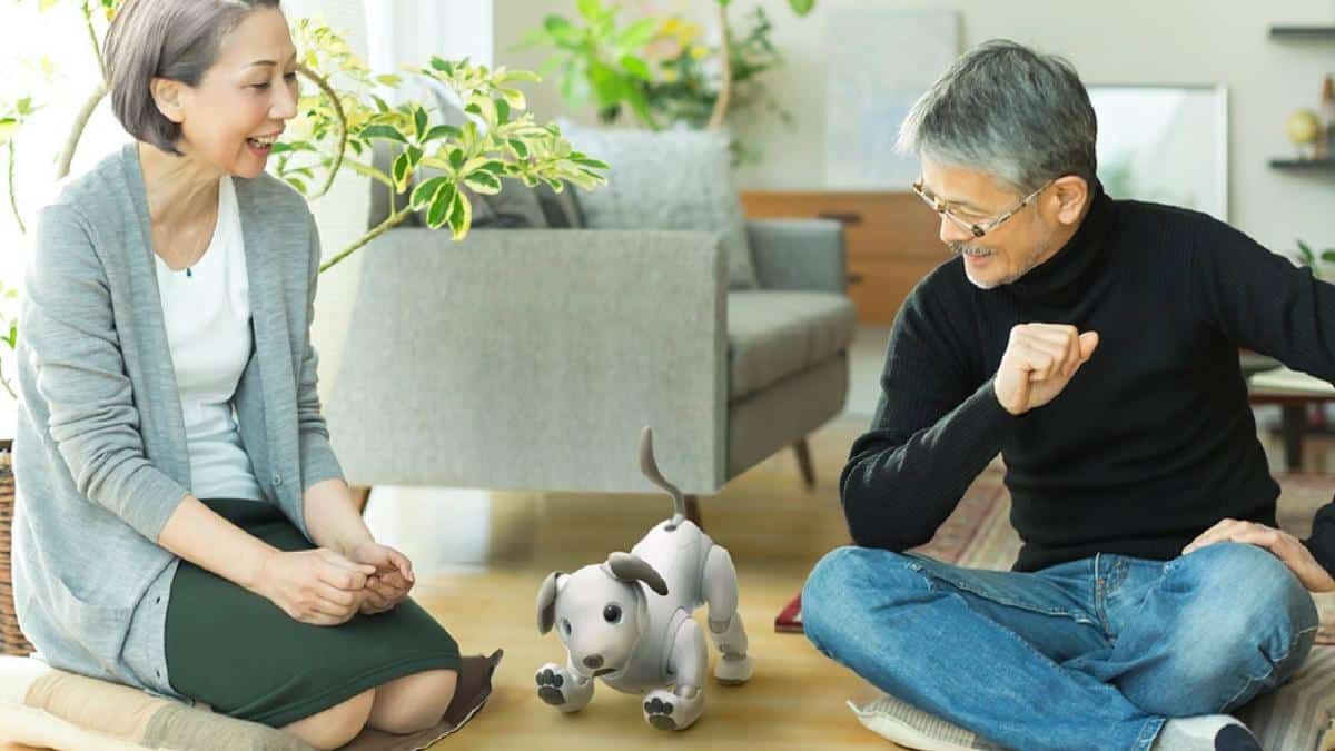 10 Long-Term Impacts of Forming Bonds with Robotic Companions