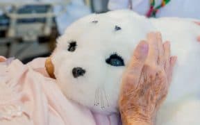 3 Personal Stories of People Connecting with Robot Pets