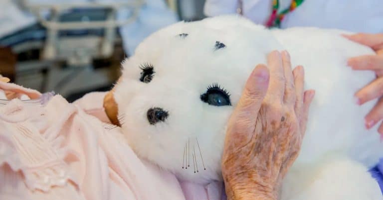 3 Personal Stories of People Connecting with Robot Pets