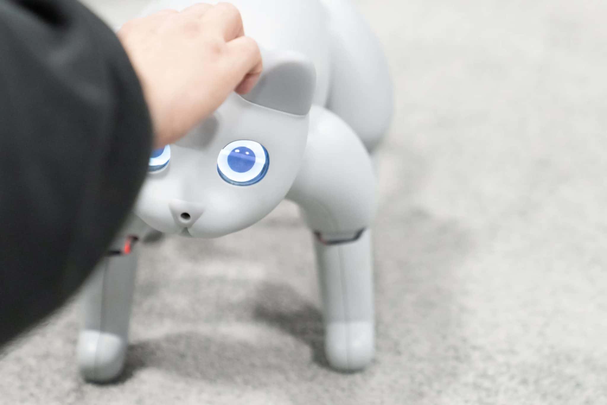 How Robot Pets Respond To Human Emotions Robot Pet Friends