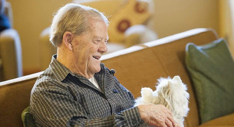 10 Therapeutic Benefits of Building Emotional Connections with Robot Animals