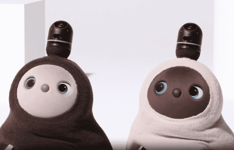 A Comparison of the AI Capabilities of Different Robot Pet Models