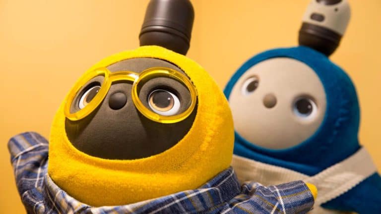 A Comparison of Advanced Features in Popular Robot Pet Models