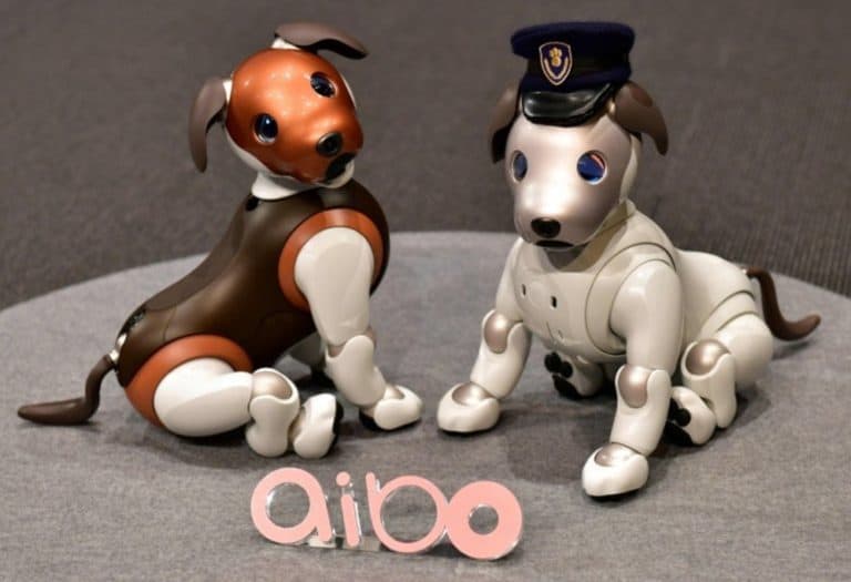 Sony's Aibo RoboCop Dog Can Now Watch Over Your Family