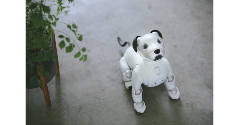 5 Eco-Friendly and Sustainable Robot Pet Brands