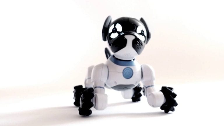 The 5 Most Durable Robot Pets