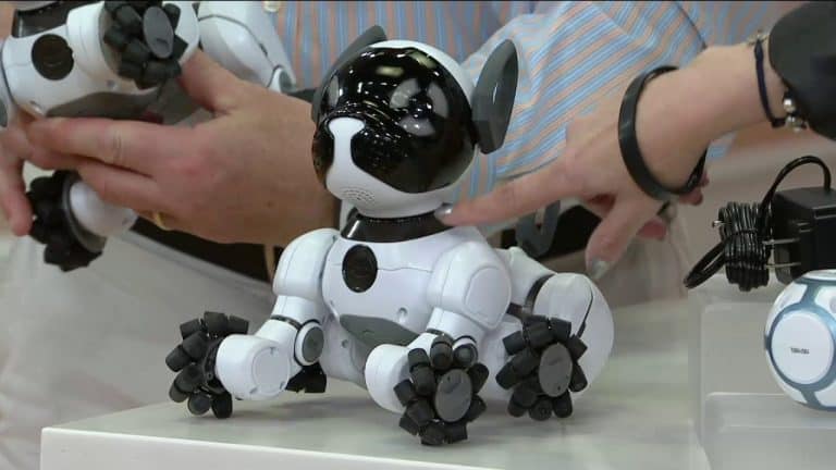 Which Robot Pet Brands Offer the Best After-Sales Service?