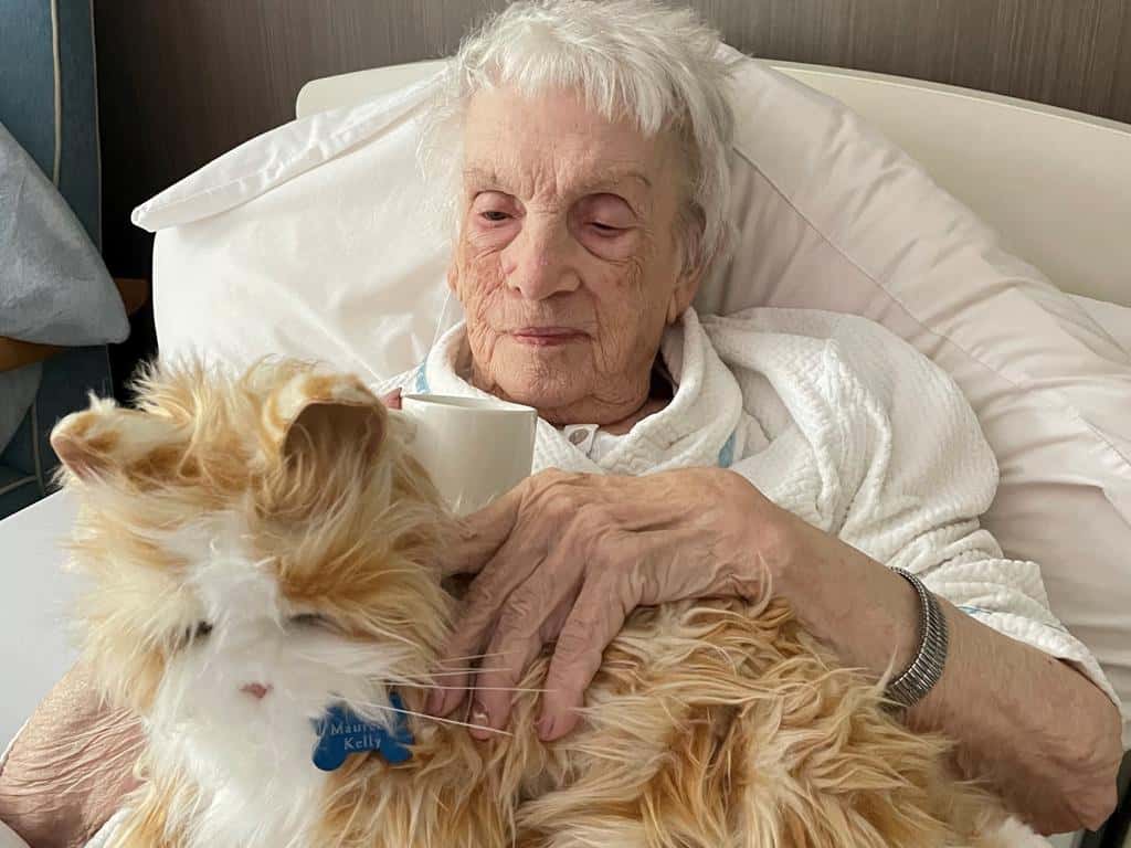 5 Success Stories of Robot Pets in Elder Care