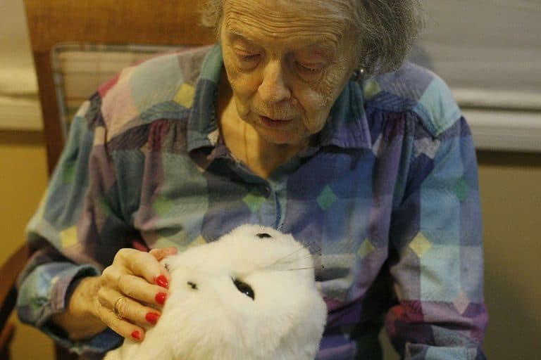 6 Safety Concerns on Robot Pet Interaction with Elderly Users