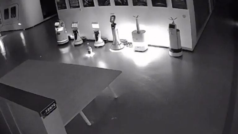 A Tiny Robot Sparks Amusement and Fear After Kidnapping 12 Big Bots in Shanghai