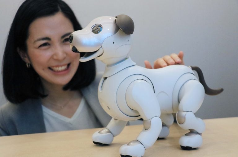 Your Guide to Voice Command Training for Robot Pets