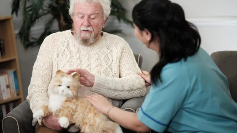 How to Introduce Robot Pets to Older Generations