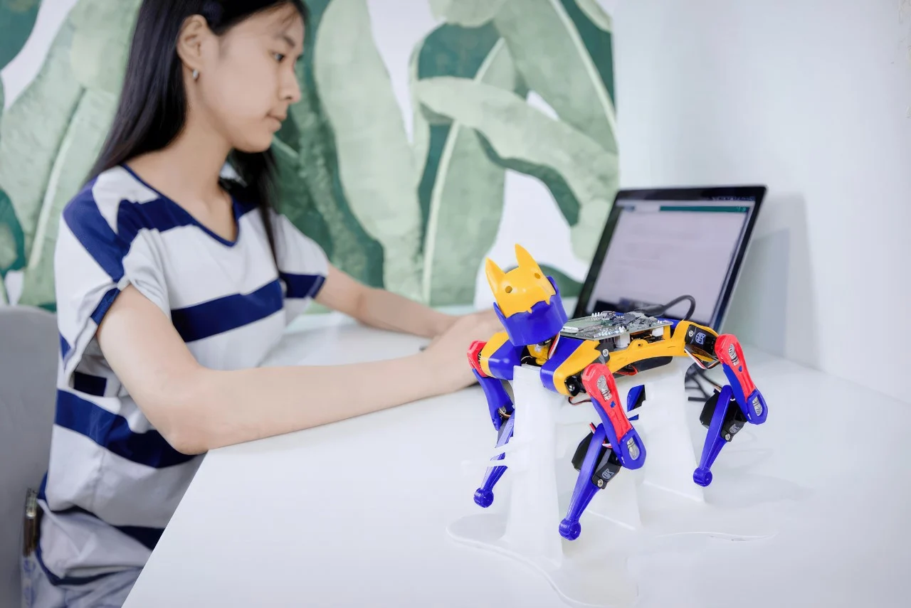 7 Safety Protocols in Robot Pet Training