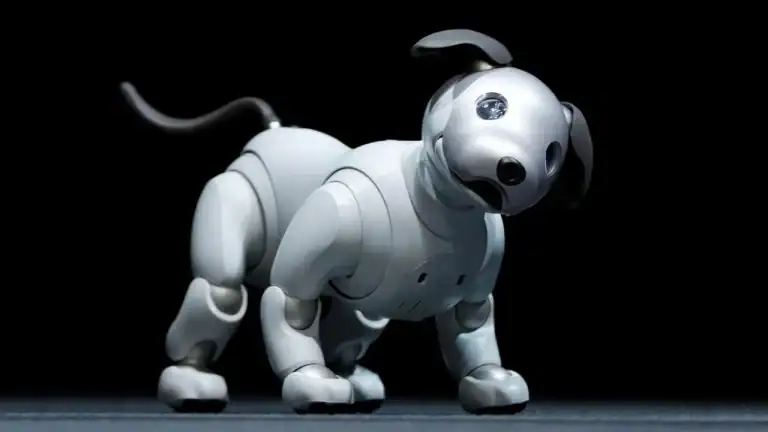 Best Robot Dogs