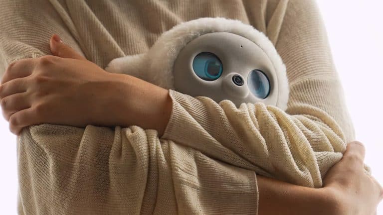 8 Predictions on User Adoption of Robot Pets