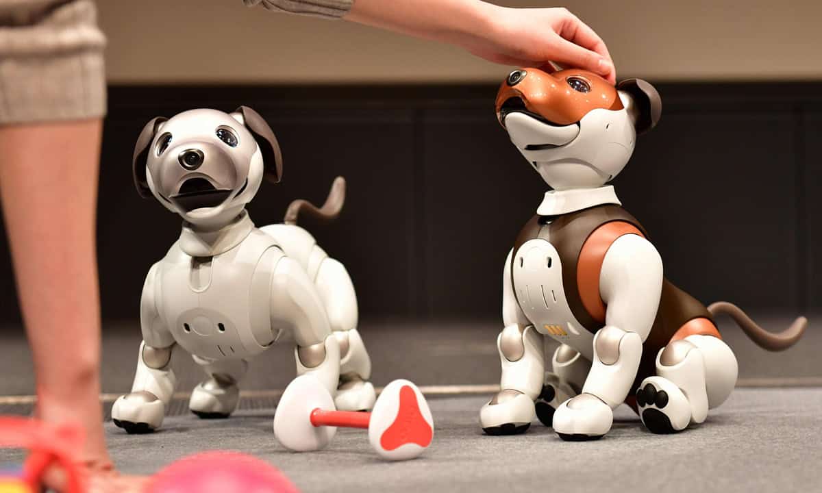 6 Regulatory Considerations for Future Robot Pets