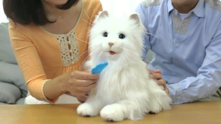 6 Ethical Considerations on Robot Pets in Society's Future