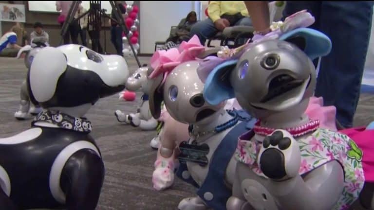Aibo Robot Dog Owners Gather in San Jose for Annual Meetup
