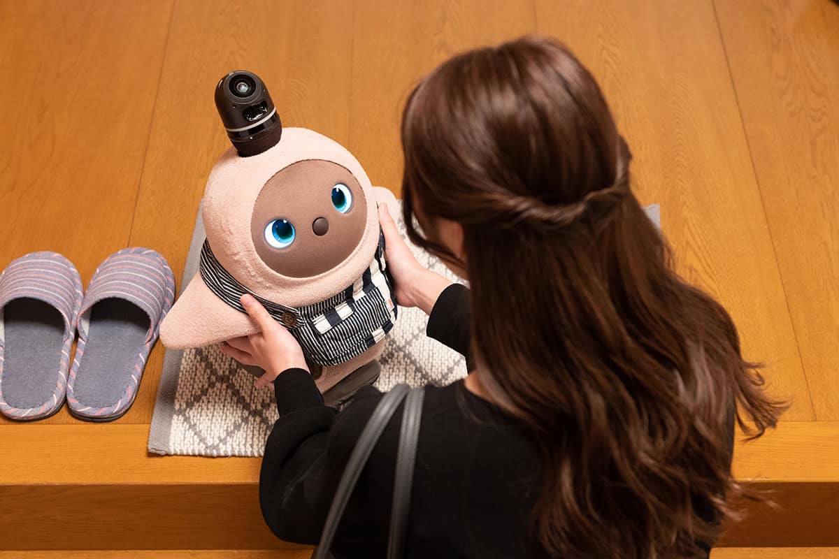 Robot Pets vs Virtual Pets for Loneliness: Which is More Effective?