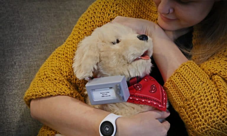 How Robot Pets vs Virtual Pets Respond to Users
