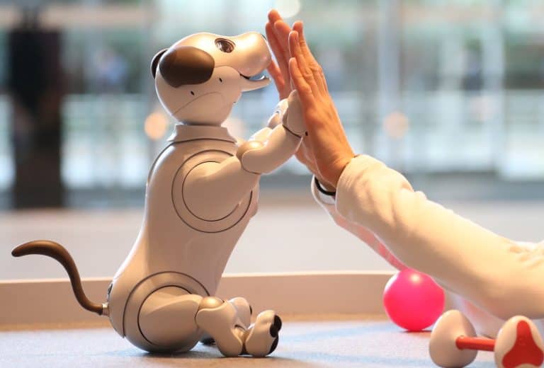 How Robot Pets Are Revolutionizing Communication for Nonverbal Autistic Individuals