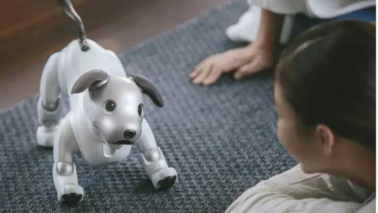 How to Prepare Caregivers to Incorporate Robot Pets in Autism Therapy
