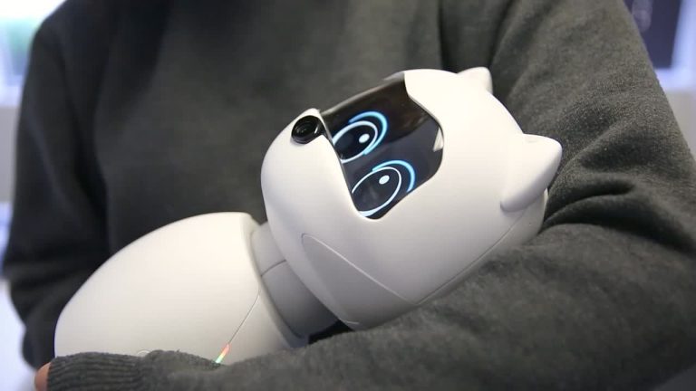 Longevity Test: Assessing the Durability and Wear of Robot Pets
