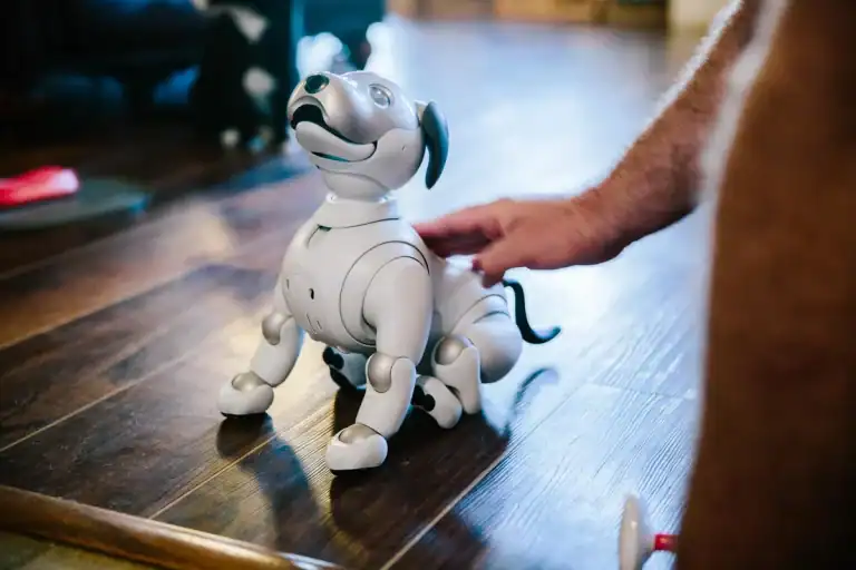 How to Find the Most Durable Robot Pets: Tips for Active Users