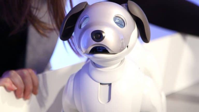 Maintenance Tips to Prolong Your Robot Pet’s Life